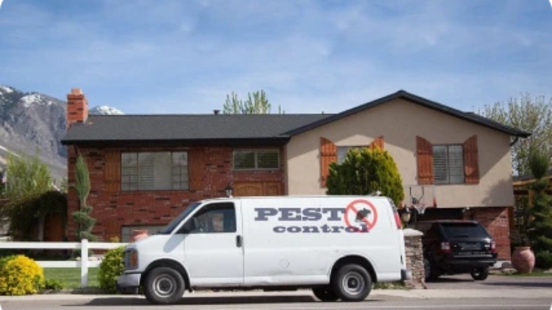 10 signs you need pest control service