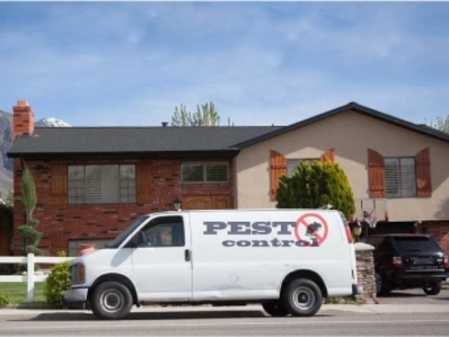 10 signs you need pest control service