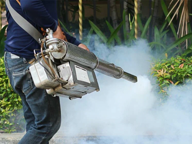 Fumigation service in Saudi