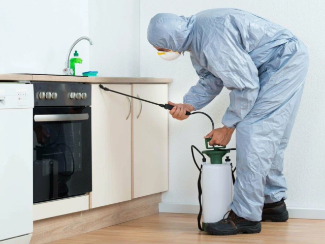 Kitchen cleaning service in Saudi