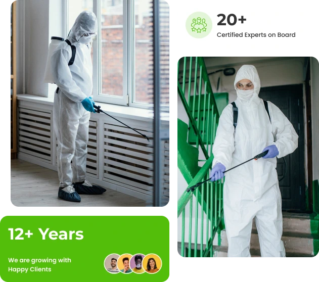 Pest control and cleaning company in Riyadh, Saudi