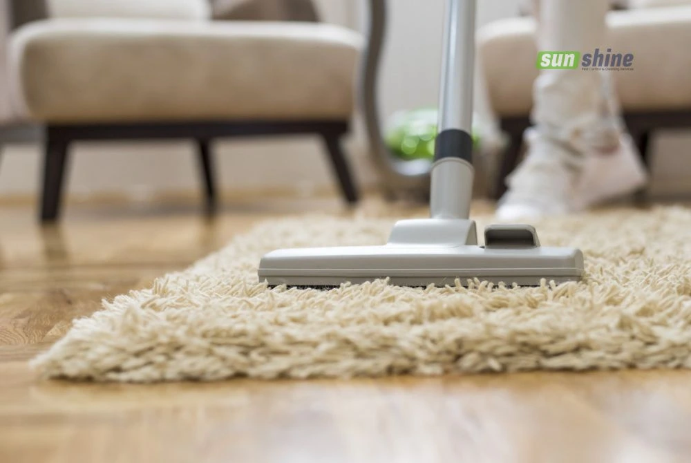 Carpet cleaning tips for Saudi residents