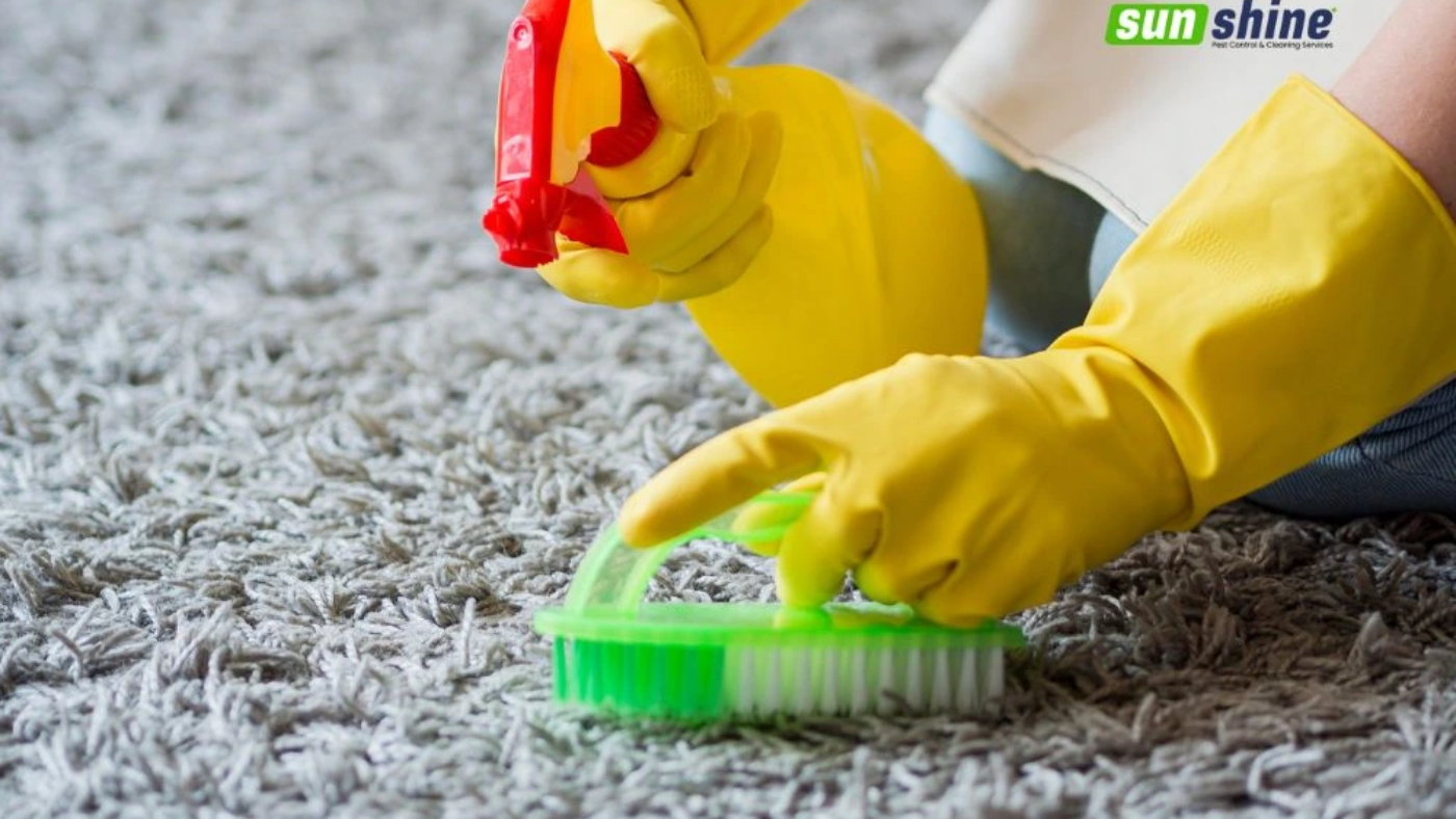 carpet cleaning home remidies
