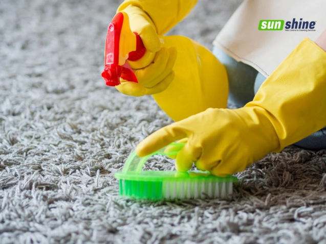 carpet cleaning home remidies