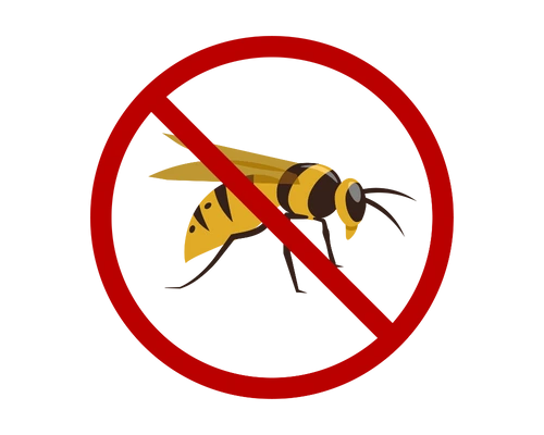 wasp removal service