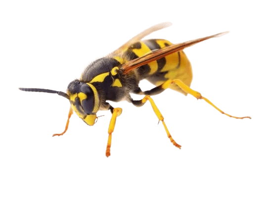wasp_control_service