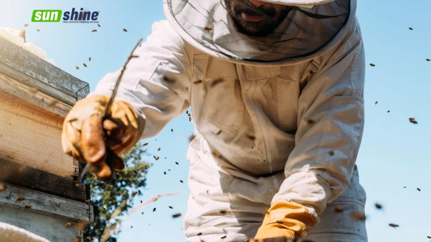 Why You Should Call the Experts For Wasp Control