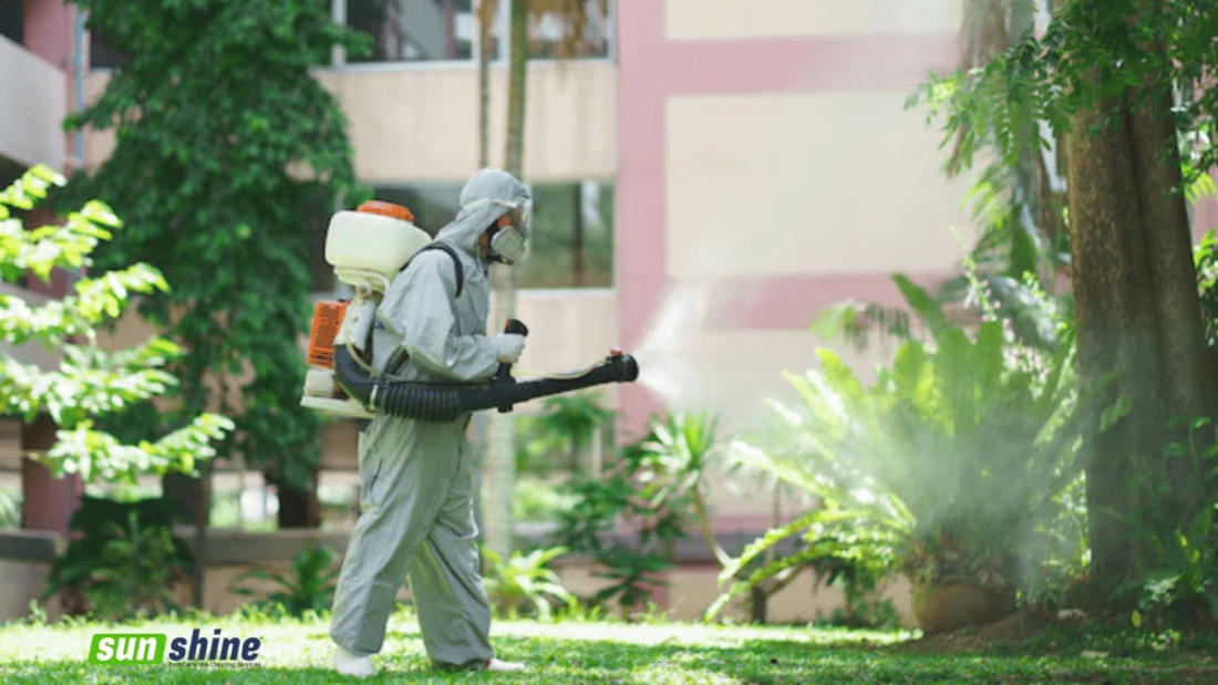 outdoor pest control