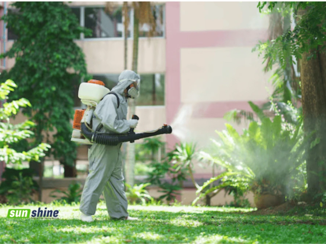 outdoor pest control