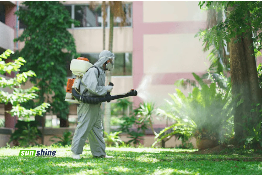 outdoor pest control