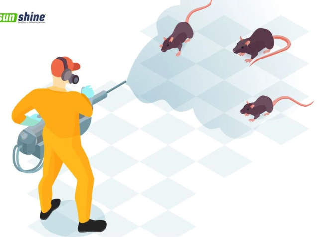 rodent-infestation