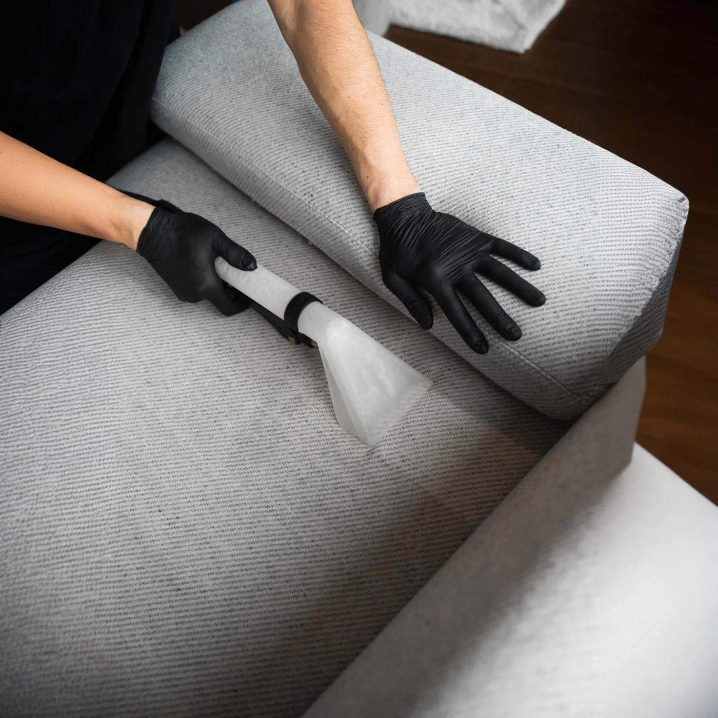 sofa cleaning company