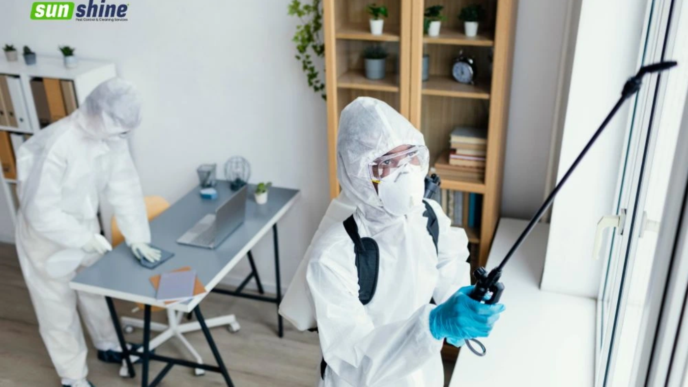 deep-cleaning-vs-regular-cleaning