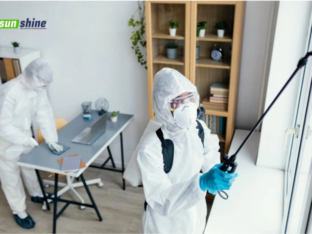 deep-cleaning-vs-regular-cleaning