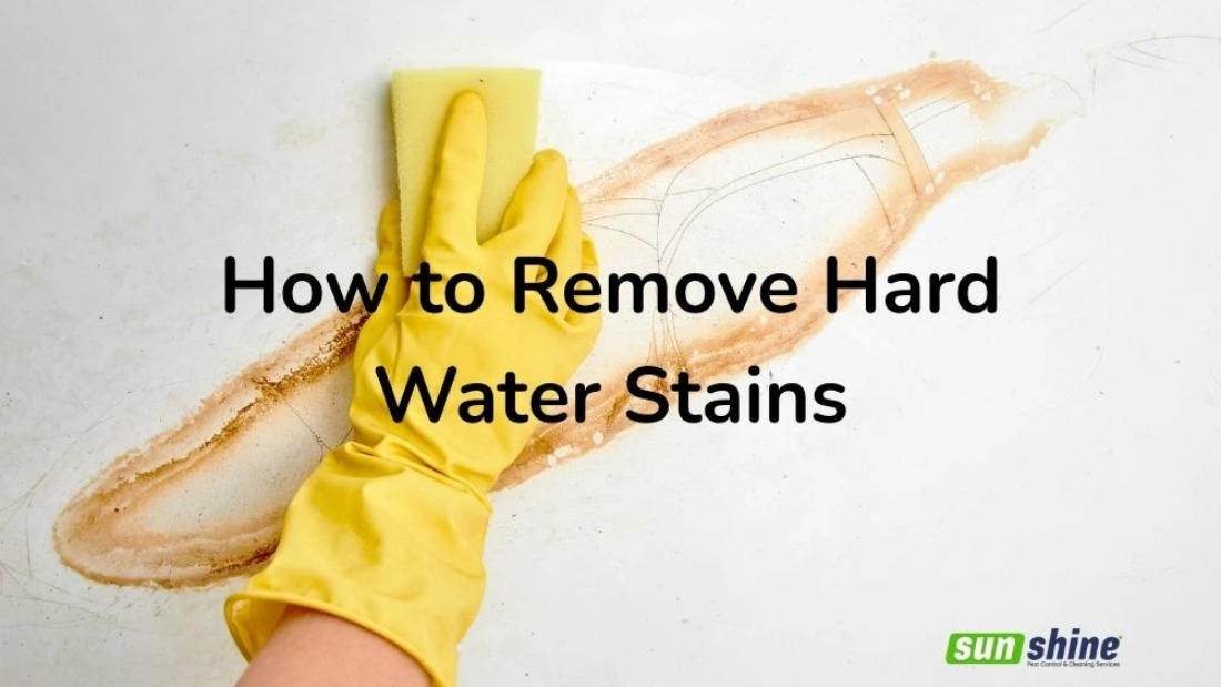 image with the text how to remove hard water stains in toilets