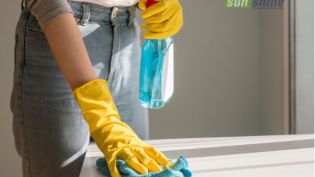 House cleaning guide