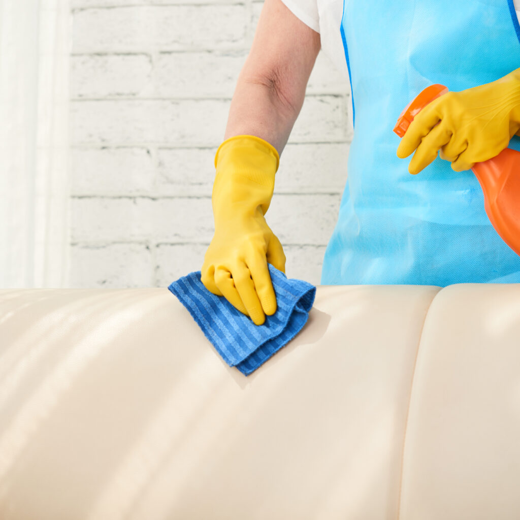 sofa cleaning every 6-12 months