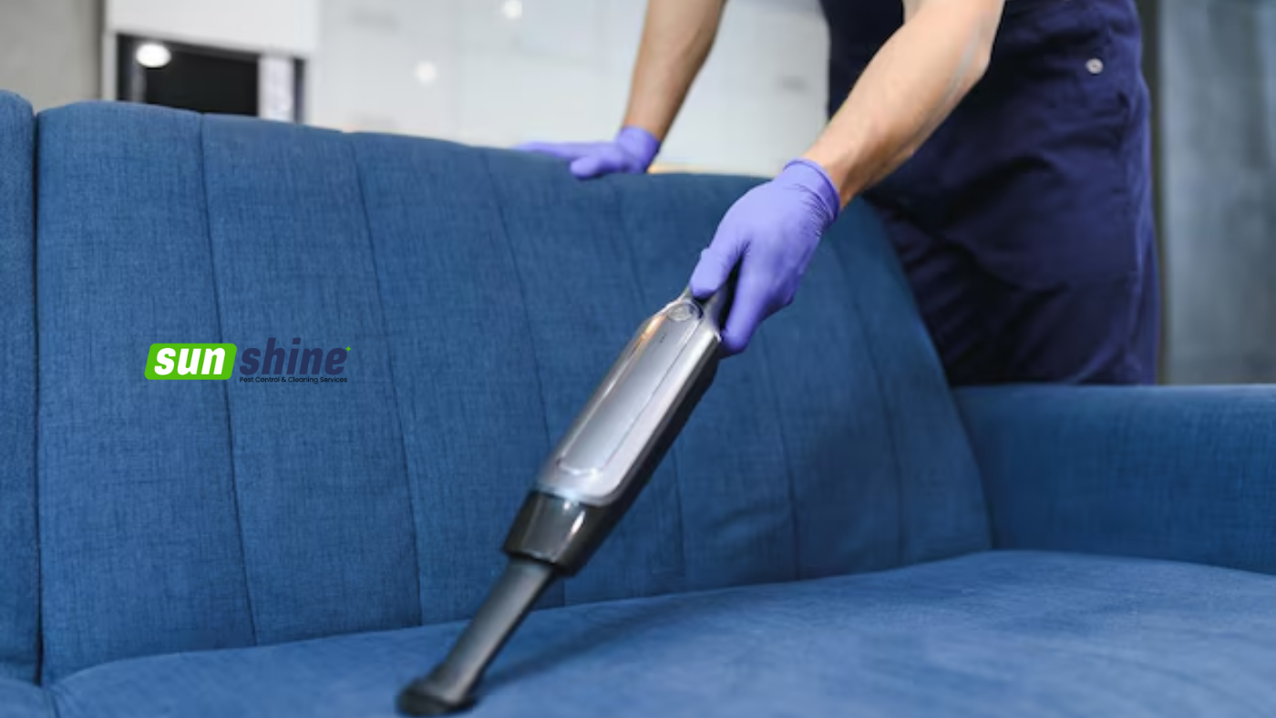 Best Way to Clean a Sofa Deeply for Long-Lasting Freshness