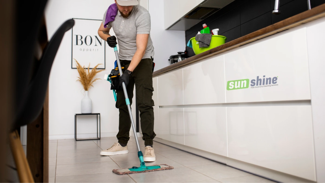 image of Deep Cleaning Services vs. Regular House Cleaning