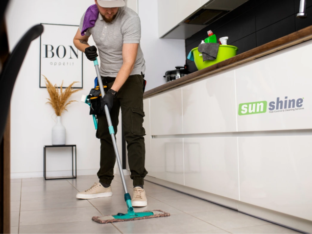 image of Deep Cleaning Services vs. Regular House Cleaning