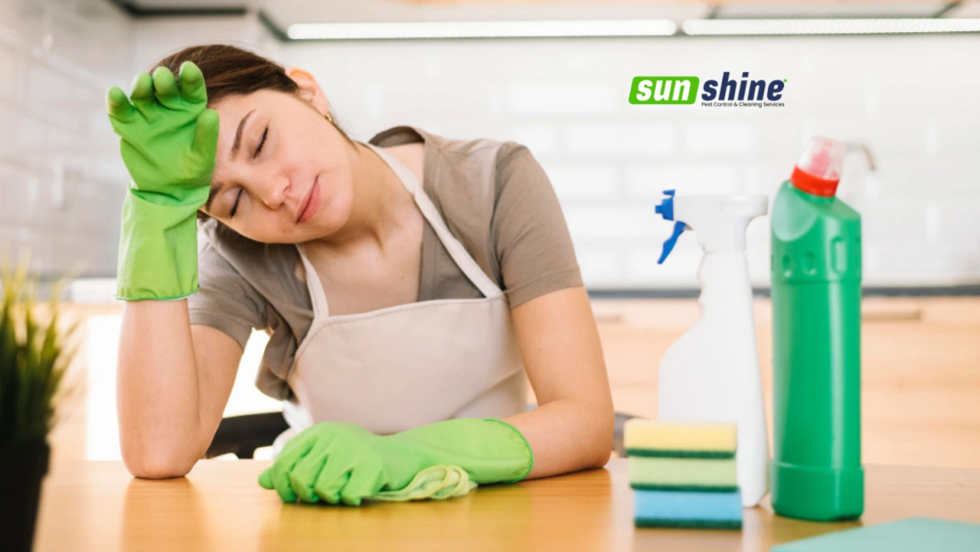 How to Plan an Effective Monthly Home Cleaning Schedule