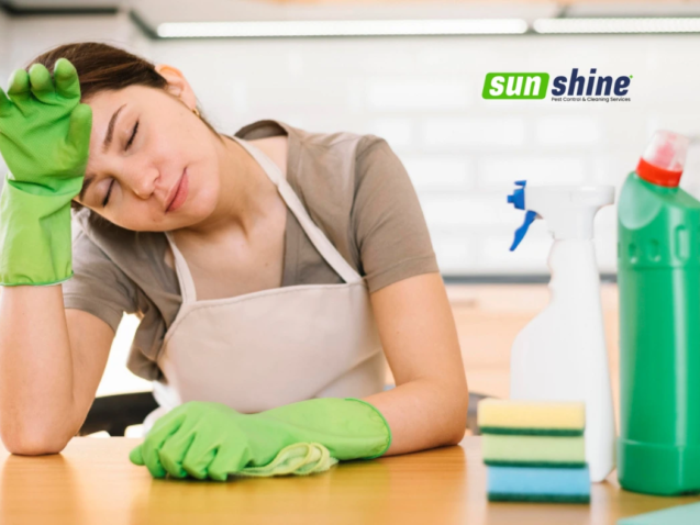 How to Plan an Effective Monthly Home Cleaning Schedule