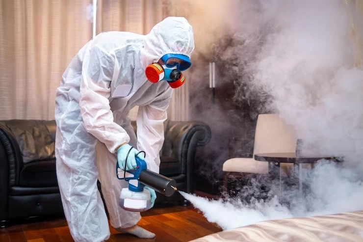 Bed Bug Treatment and Pest Control Riyadh