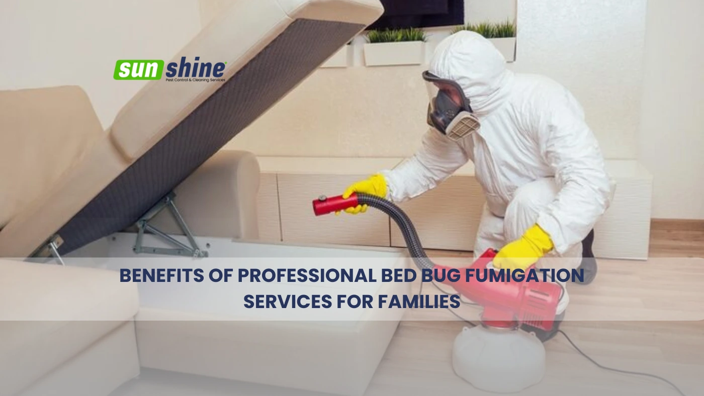 Benefits of Professional Bed Bug Fumigation Services for Families