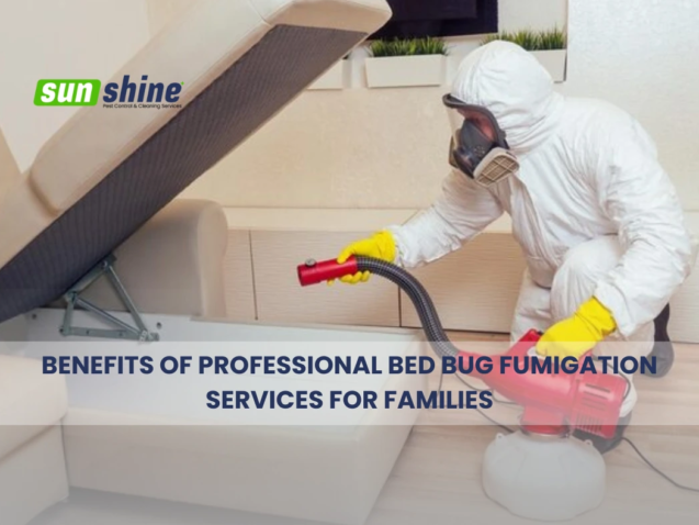 Benefits of Professional Bed Bug Fumigation Services for Families
