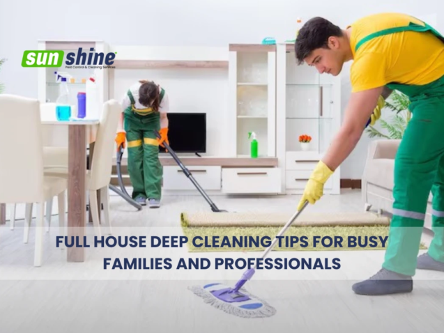 Full House Deep Cleaning Tips for Busy Families and Professionals