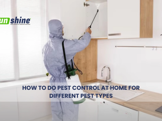 How to Do Pest Control at Home