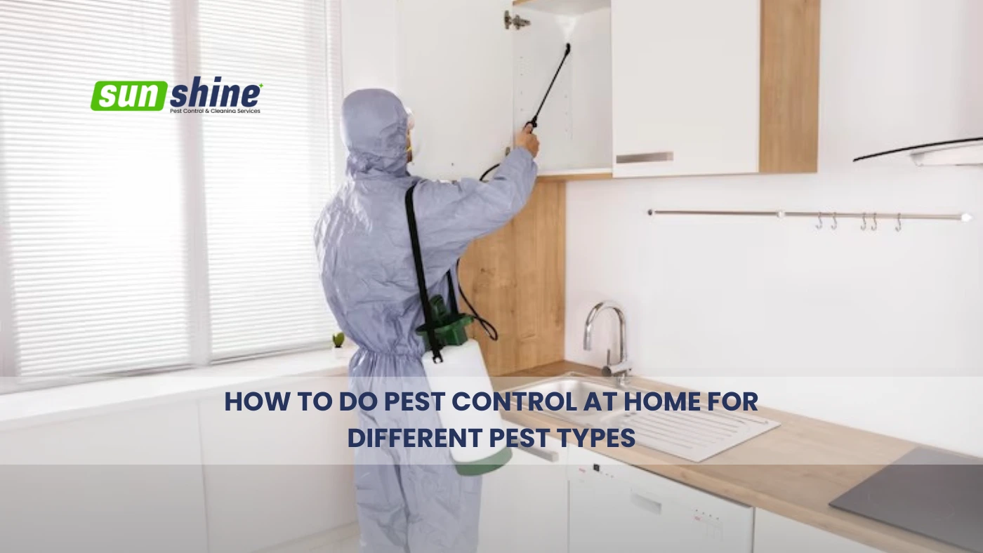 How to Do Pest Control at Home
