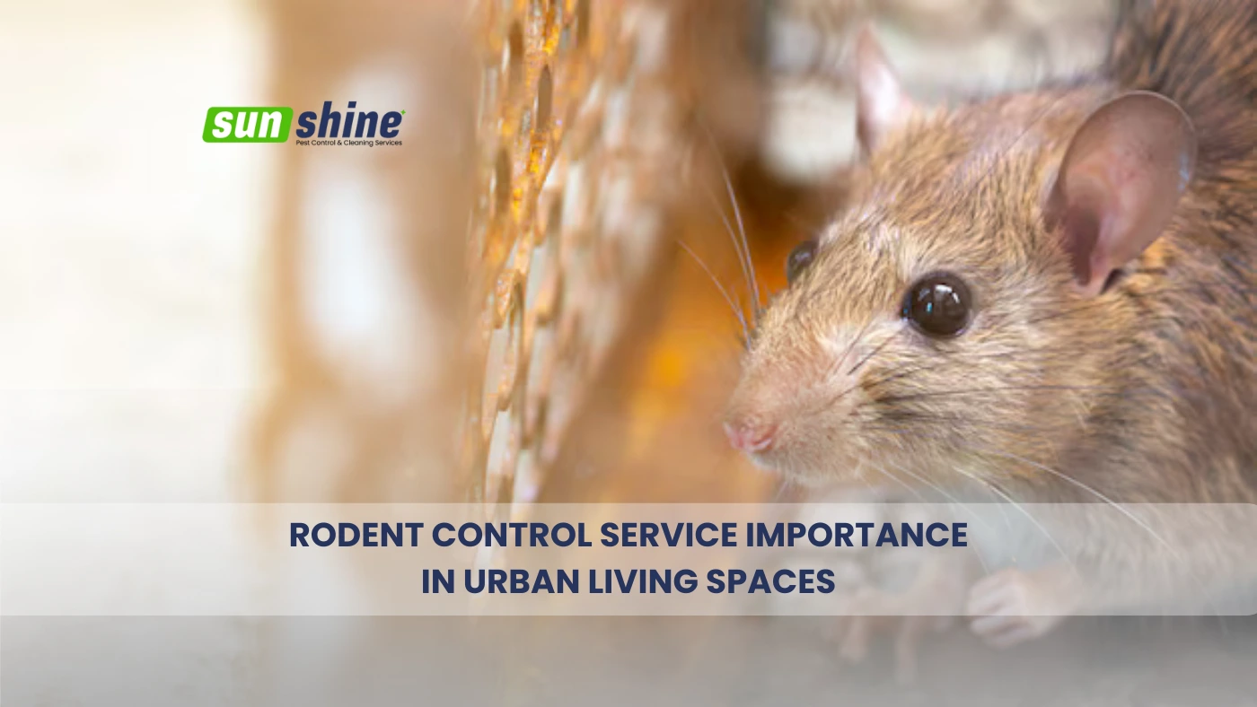 Rodent Control Service Importance in Urban Living Spaces
