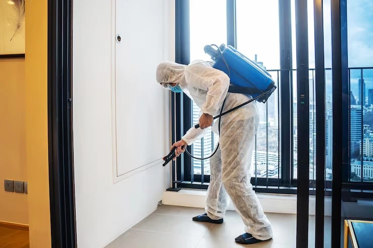 Why Home Pest Control Matters