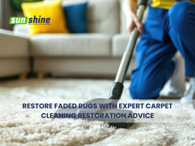 cleaning-carpet-restoration-advice