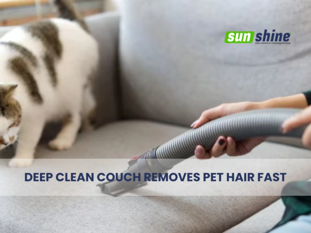 Deep Clean Couch Removes Pet Hair Fast