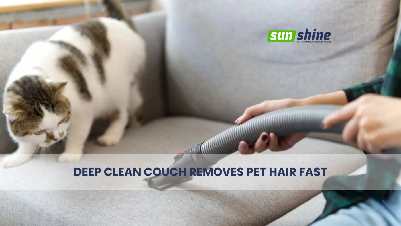 Deep Clean Couch Removes Pet Hair Fast