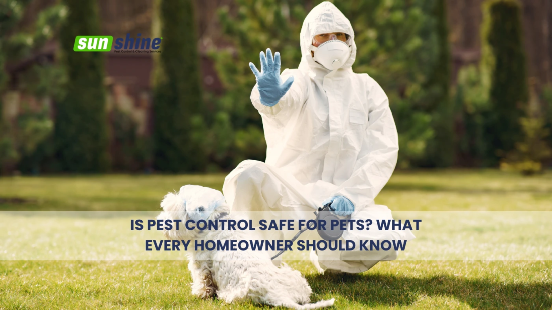 Pest Control Safe for Pets