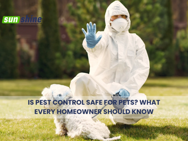 Pest Control Safe for Pets