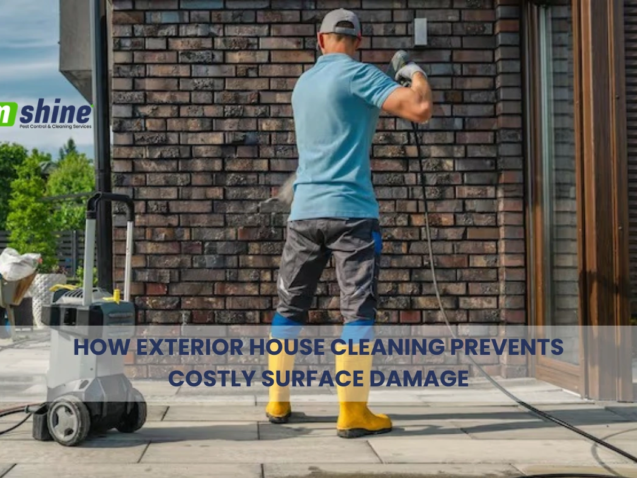 Exterior house cleaning