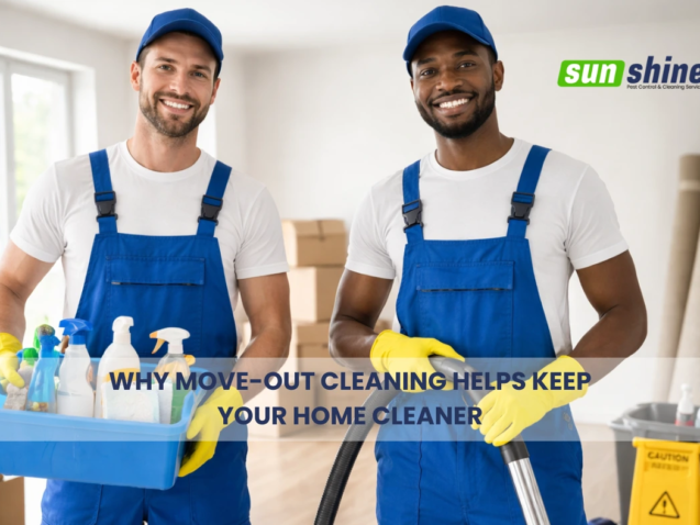 Move-Out Cleaning