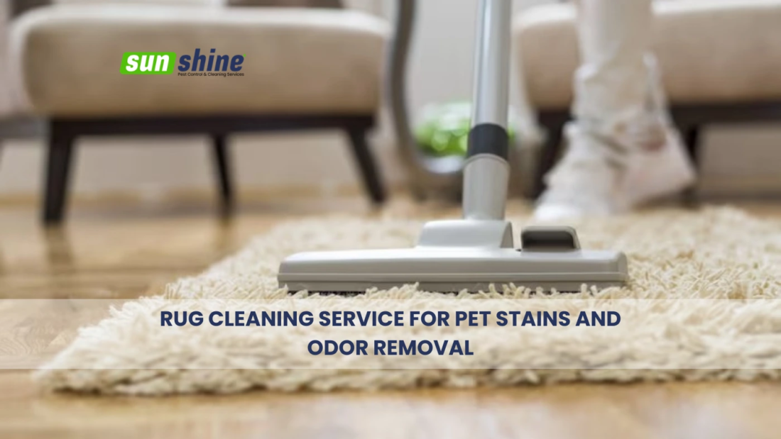 Rug cleaning service