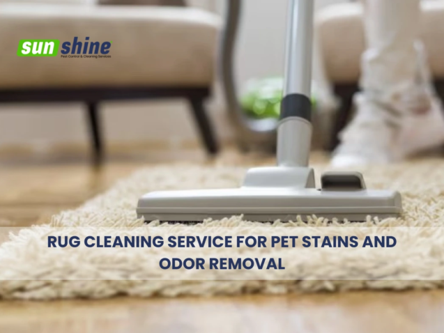 Rug cleaning service