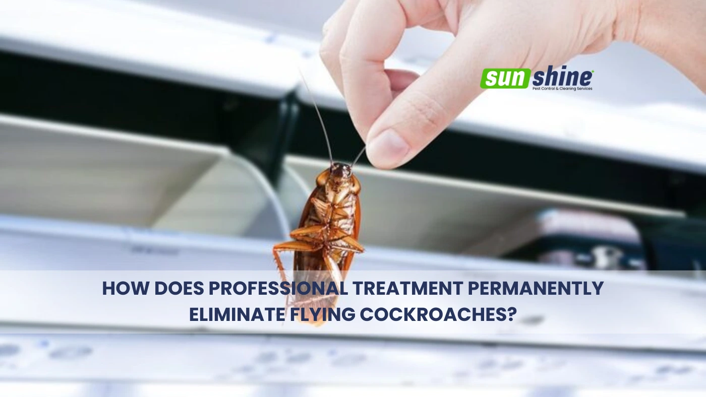 flying-cockroaches-professional-treatment