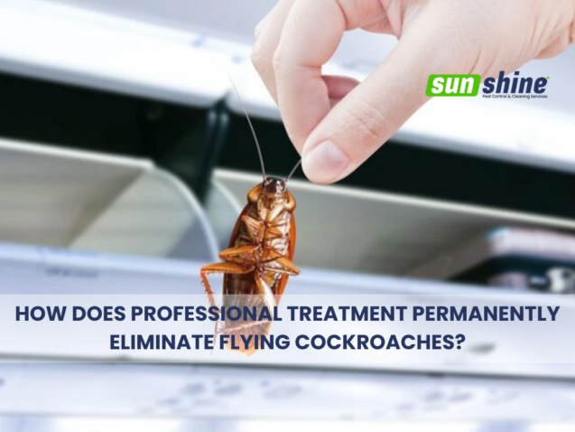 flying-cockroaches-professional-treatment