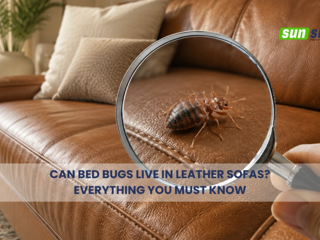 can bed bugs live in leather sofas