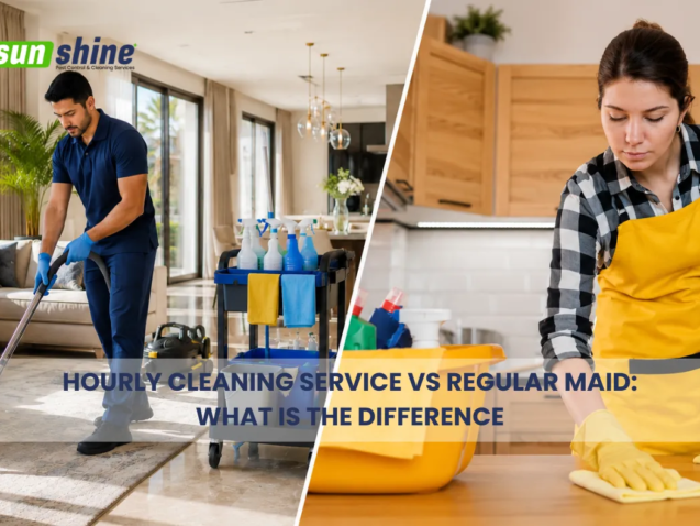 Hourly Cleaning Service vs Regular Maid