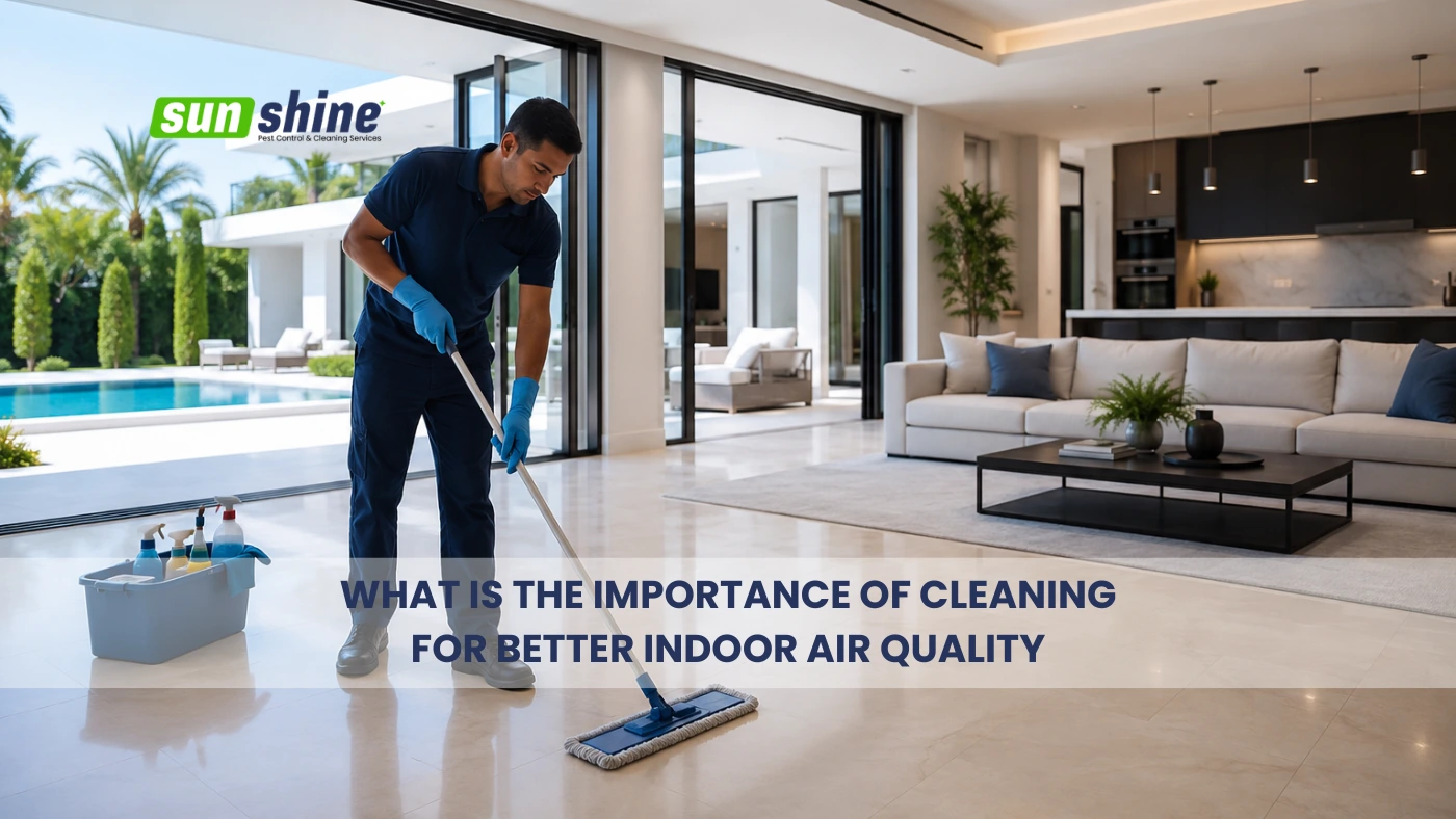 What is the importance of cleaning