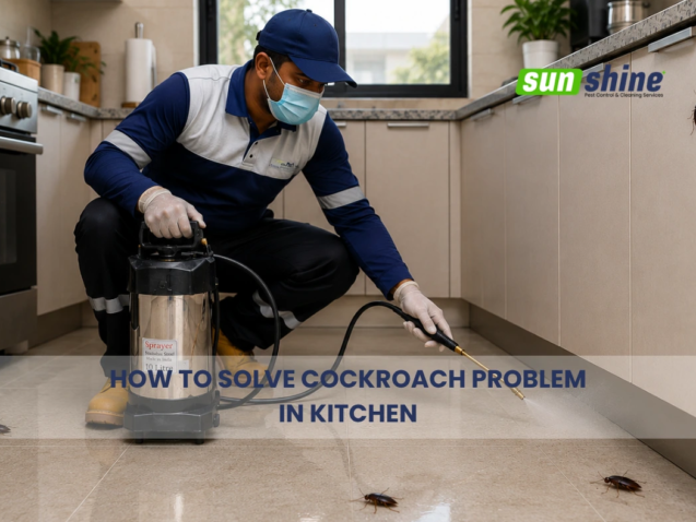 Pest control technician solving cockroach problem in kitchen