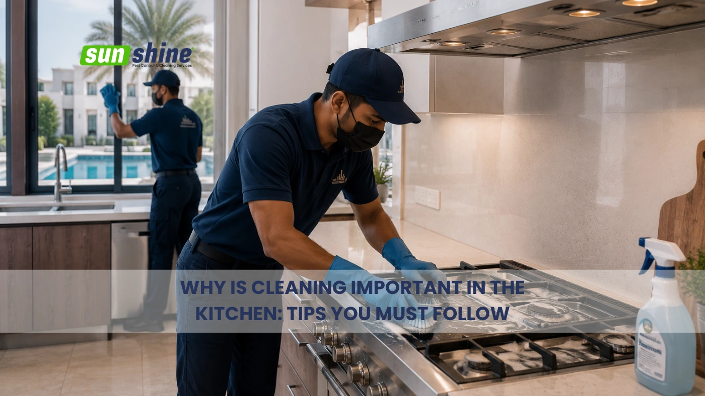 why is cleaning important in the kitchen riyadh
